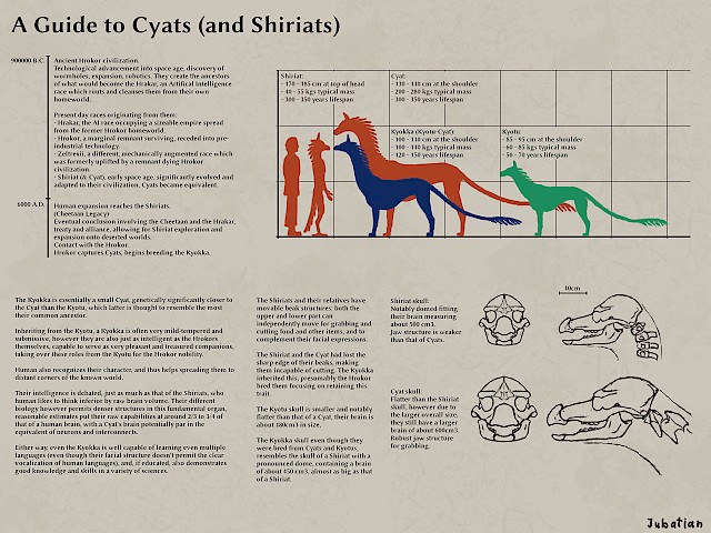 A Guide to Cyats