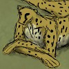 Legwing cheetah
