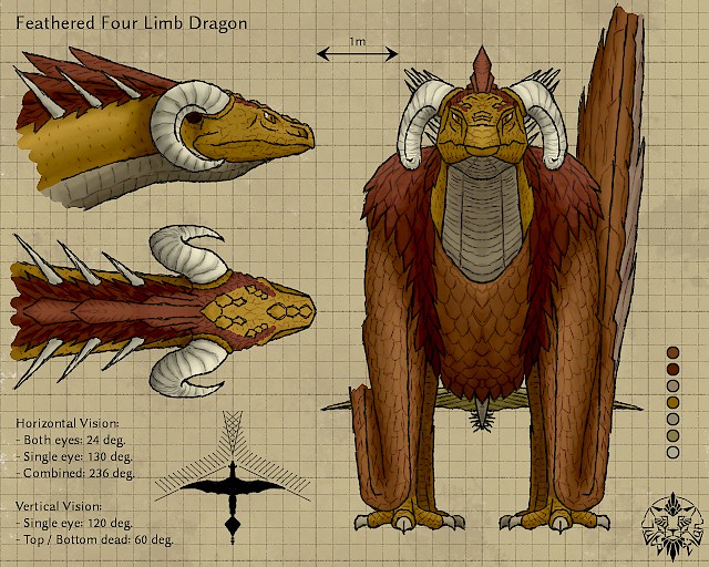 Feathered dragon refsheet #2