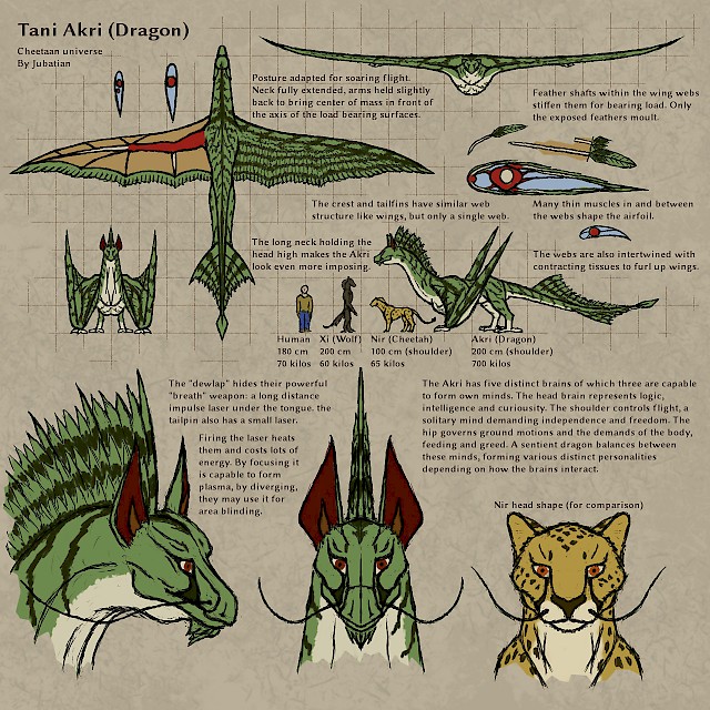 Tani Akri (dragon) reference