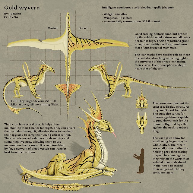 Gold wyvern design