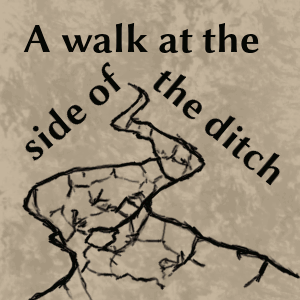 A walk at the side of the ditch