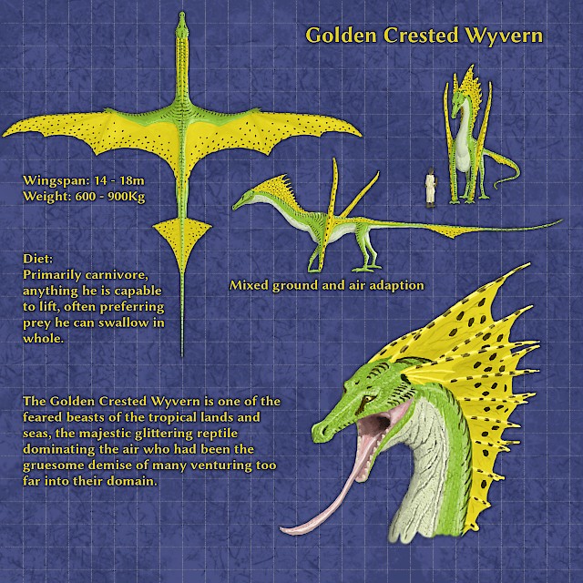 Golden Crested Wyvern